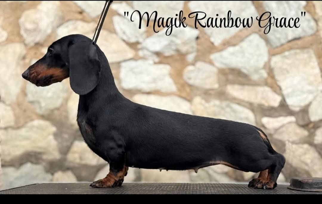 magik rainbow  GRACE
