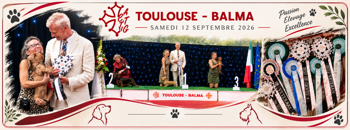 La Team de "TERRE DRUE DE GUENREFF" annonce :