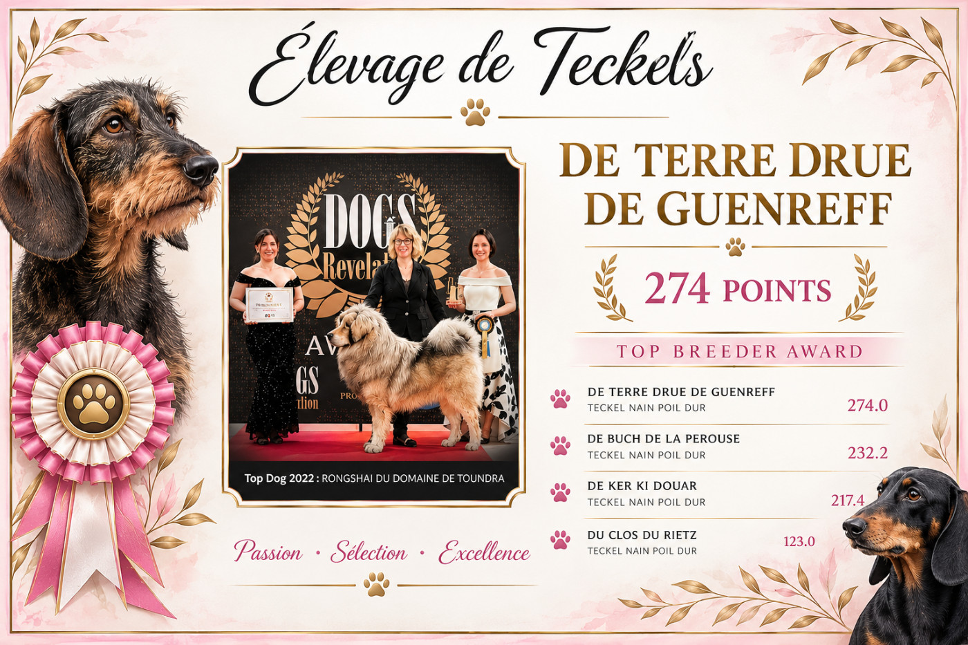 Classement de "TERRE DRUE DE GUENREFF" au DOGS REVELATION :