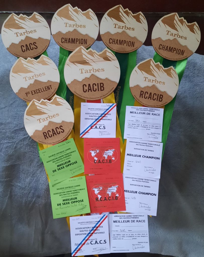 de terre drue de guenreff - La Team DE "TERRE DRUE DE GUENREFF" annonce :