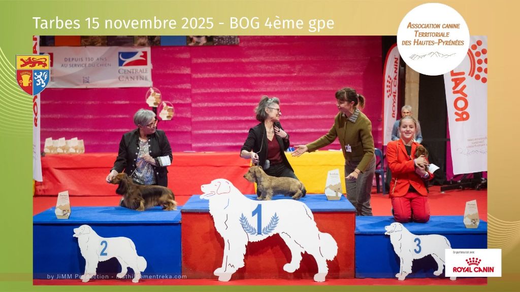 de terre drue de guenreff - La Team DE "TERRE DRUE DE GUENREFF" annonce :